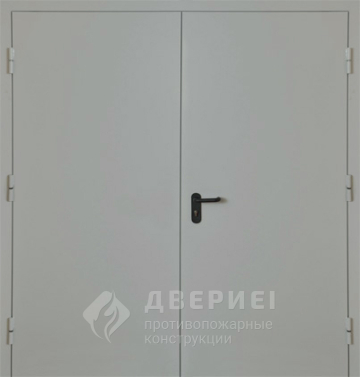 Двупольная дверь глухая EI-30 фото