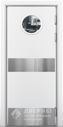 Пожарная маятниковая дверь №3