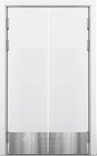 Маятниковая противопожарная дверь двупольная №4