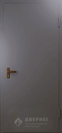 Техническая дверь №1 однопольная фото