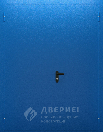 Синяя дверь двупольная EI-60 №88 фото